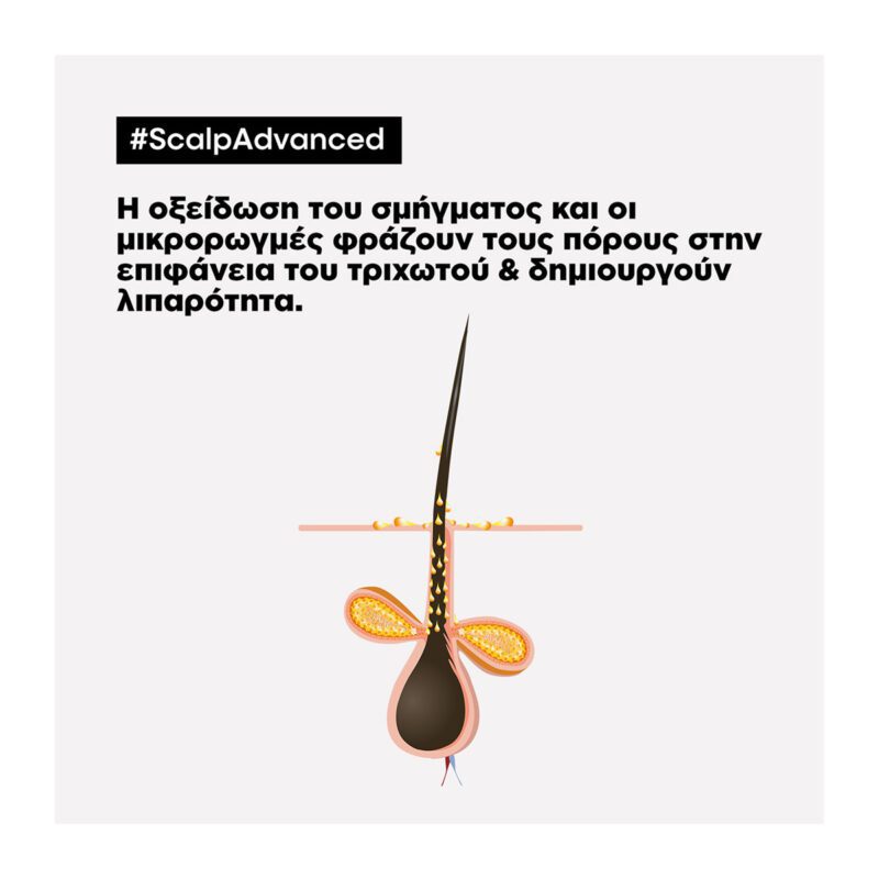 L’Oréal Professionnel Serie Expert Scalp Advanced Anti-Oily Σαμπουάν Κατά της Λιπαρότητας 1500ml - Image 2