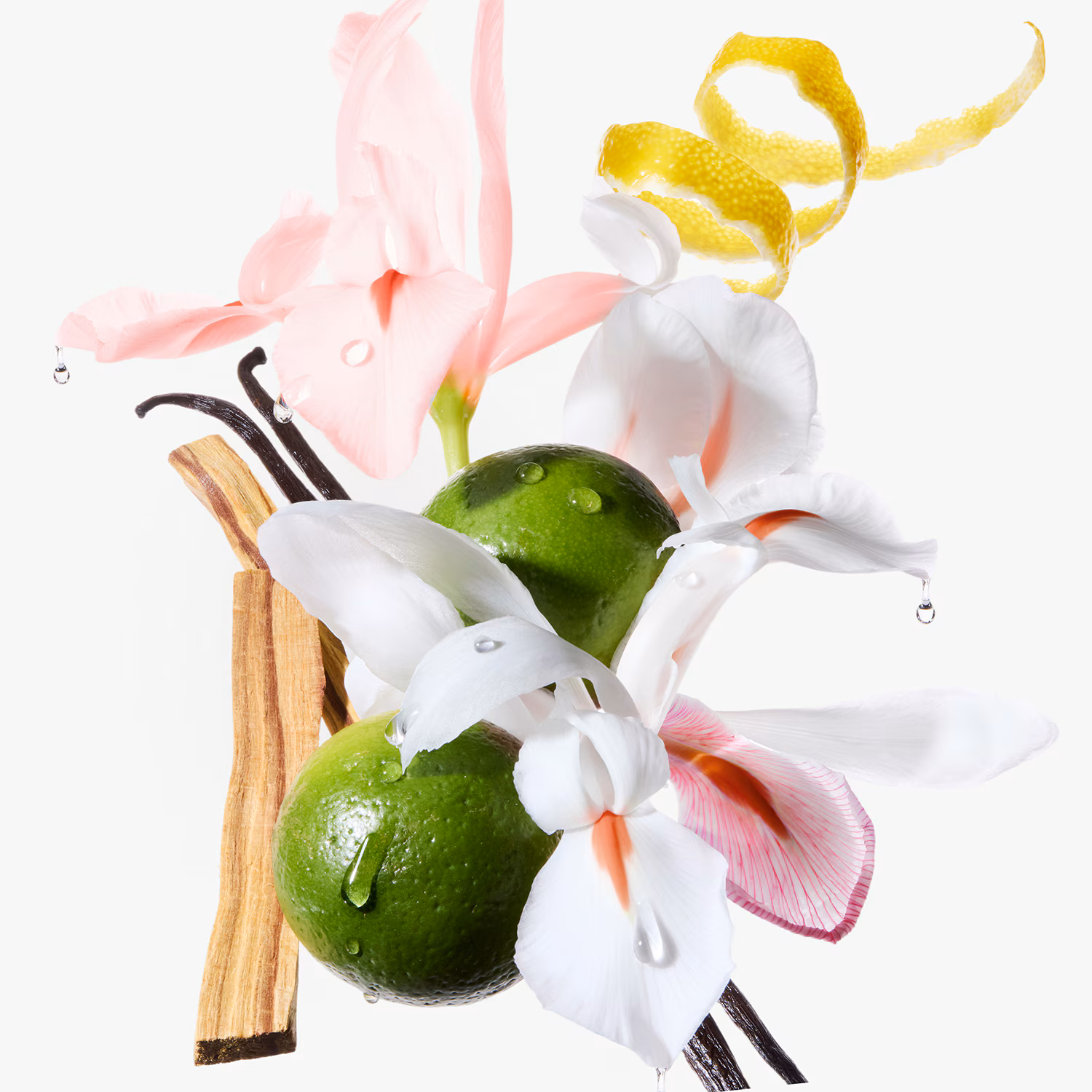 Kérastase Gloss Absolu Frizz-Glaze Cream 240ml – Κρέμα Περιποιήσης για Χοντρά Μαλλιά με Τάση Φριζαρίσματος - Image 4